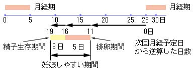 計算 オギノ 式